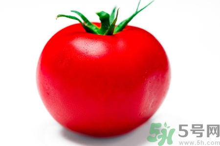 番茄和西紅柿有什么區別？番茄和西紅柿一樣嗎？