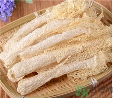 竹蓀的營養價值 竹蓀的功效與作用