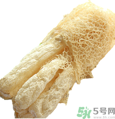 竹蓀的營養價值 竹蓀的功效與作用