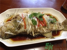 鱸魚的營養價值 鱸魚的功效與作用
