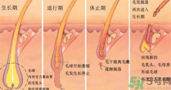紋眉后要補色嗎？紋眉后多久可以補色？
