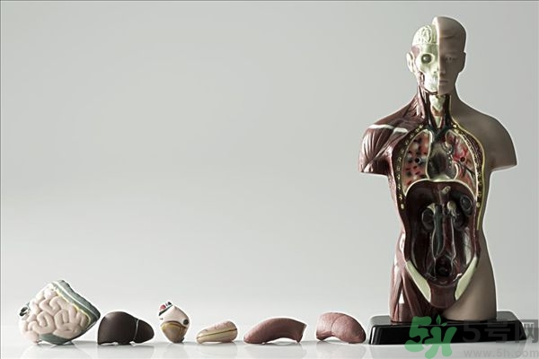 腸炎肚子疼怎么辦？腸炎肚子疼怎么緩解？