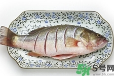 秋季適合吃什么魚？秋季吃魚的好處？