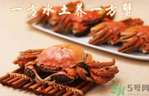 盤錦河蟹和陽澄湖大閘蟹的區(qū)別？盤錦河蟹和陽澄湖大閘蟹哪個比較好吃？