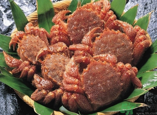 陽(yáng)澄湖大閘蟹和太湖大閘蟹的區(qū)別？陽(yáng)澄湖大閘蟹好還是太湖大閘蟹好？