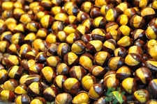 吃栗子會(huì)胖嗎？栗子吃多了會(huì)怎樣？