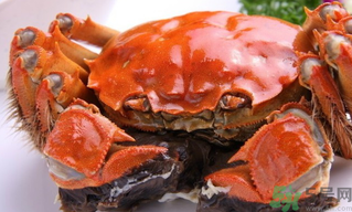 陽澄湖大閘蟹好吃嗎？陽澄湖大閘蟹為什么好吃？