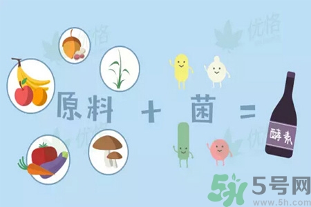 酵素什么時候吃最減肥？酵素減肥有用嗎？