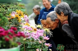 重陽節是陰歷還是陽歷？重陽節是什么意思？