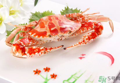 梭子蟹和花蟹的區別？梭子蟹和花蟹哪個好吃？