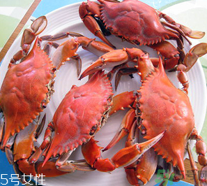 梭子蟹和飛蟹的區別？飛蟹是梭子蟹嗎？