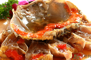 膏蟹是河蟹還是海蟹？膏蟹是什么蟹？