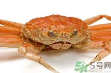 青蟹和大閘蟹哪個好吃?青蟹和大閘蟹的區別