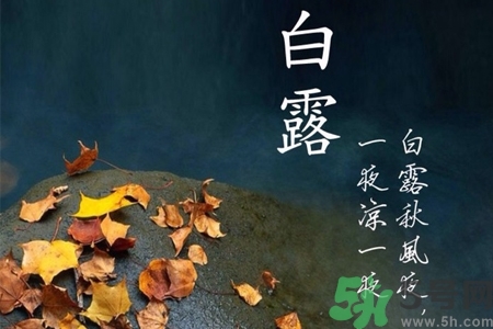 白露節吃什么？白露節的傳統美食有哪些？
