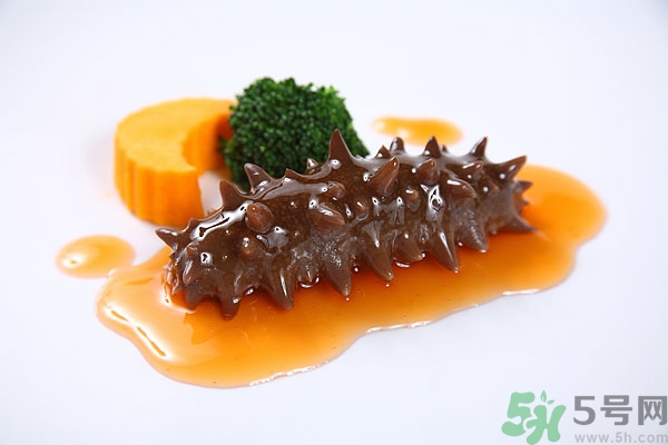 活海參和干海參哪個(gè)好？活海參好還是干海參好？