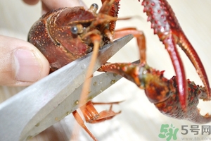 活蝦怎么處理干凈蝦線？活蝦怎么去蝦線？