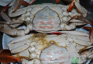 海蟹蒸多長時間？海蟹蒸多長時間最好吃？