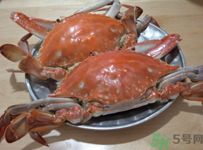 海蟹蒸多長時間？海蟹蒸多長時間最好吃？