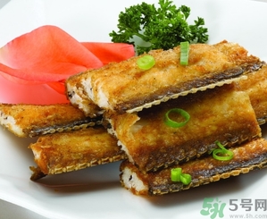 帶魚是發物嗎？手術后可以吃帶魚嗎？