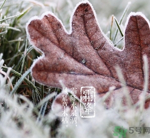 霜降是什么季節？霜降是秋天還是冬天？