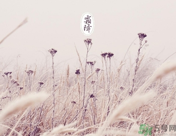 霜降是什么季節？霜降是秋天還是冬天？