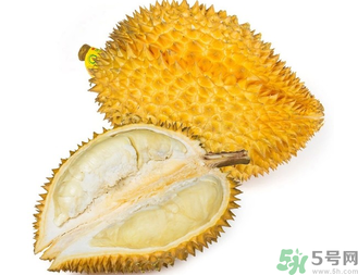榴蓮早上吃還是晚上吃？早上吃榴蓮好嗎？