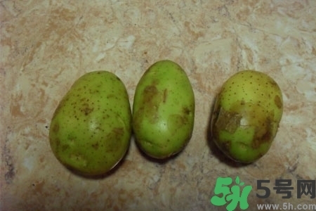 土豆發(fā)綠還能吃嗎？土豆發(fā)綠皮削皮后能吃嗎？