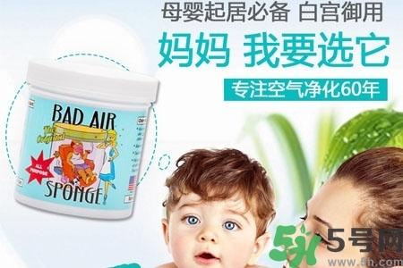 美國(guó)bad air sponge空氣凈化劑多少錢(qián)？