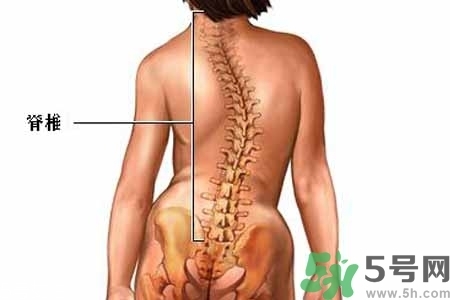 僵直性脊椎炎的癥狀有哪些？怎樣預防僵直性脊椎炎？