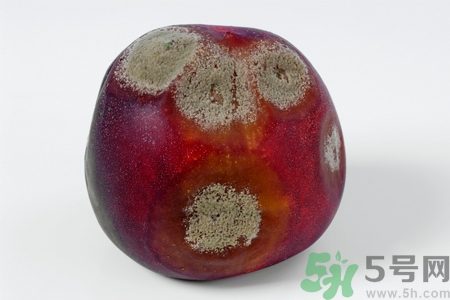 水果發霉了可以吃嗎？發霉的水果對人體有什么危害？