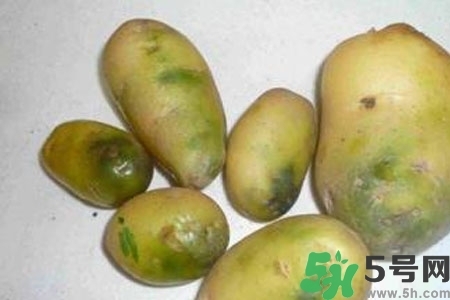土豆發(fā)綠還能吃嗎？土豆發(fā)綠皮削皮后能吃嗎？
