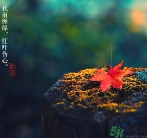 秋分做什么運動好？秋分運動注意事項