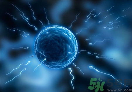 做試管嬰兒要多長(zhǎng)時(shí)間？做試管嬰兒可以選擇性別？