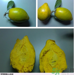 雞蛋果和百香果的區別 雞蛋果和百香果一樣嗎