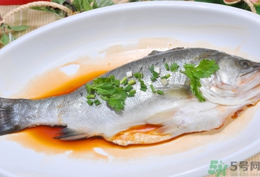 鱸魚是發物嗎？手術后可以吃鱸魚嗎？
