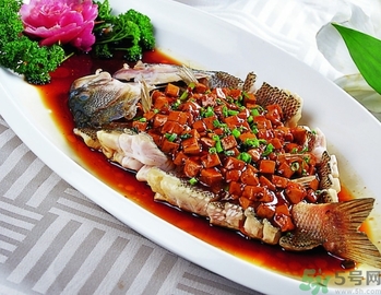 鱸魚和桂魚哪個好吃？鱸魚和桂魚的區別