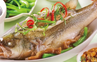鱸魚和桂魚哪個好吃？鱸魚和桂魚的區別