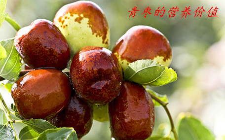 牛奶棗會上火嗎 牛奶棗能存放多久