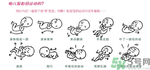 胎動(dòng)怎么數(shù)最正確？胎動(dòng)有什么規(guī)律？