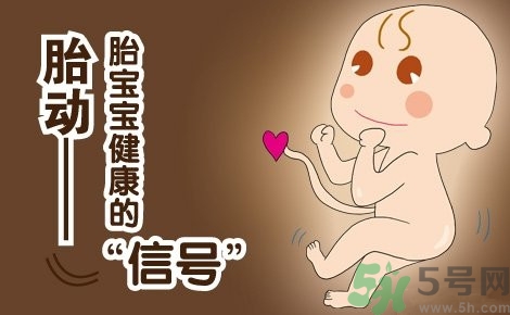 胎動(dòng)怎么數(shù)最正確？胎動(dòng)有什么規(guī)律？