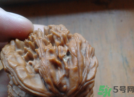 核桃長蟲了還能吃嗎？核桃長蟲子怎么處理？