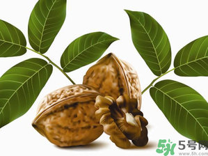 核桃一天吃幾個合適？核桃一天吃幾個最好？