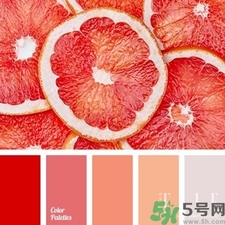 西柚色口紅的牌子哪款好？西柚色口紅有哪些牌子
