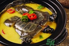 甲魚怎么吃最有營養(yǎng)？甲魚怎么吃最補身體？