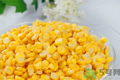 秋天釣魚用什么餌料？秋季釣魚用什么餌料好？