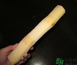 甘蔗可以放冰箱嗎？甘蔗放冰箱能保存多久？