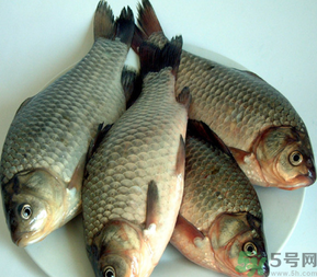 秋天釣鯽魚用什么餌料？秋天釣鯽魚用什么味餌？