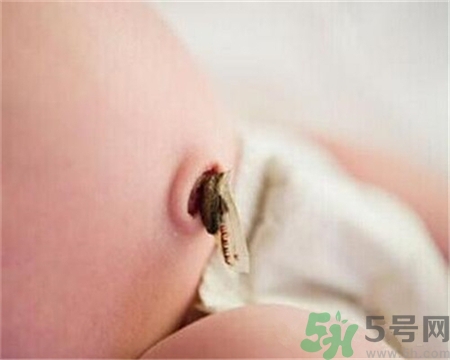 新生兒肚臍怎么護(hù)理？新生兒肚臍什么時候掉？