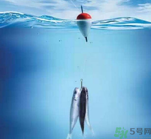 秋天釣魚深水還是淺水?秋天釣魚釣深水還是淺水? 秋天釣魚深水還是淺水?秋天釣魚釣深水還是淺水?