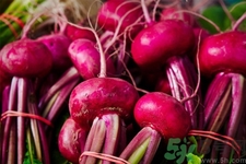 吃甜菜有什么好處？吃甜菜對身體好嗎？